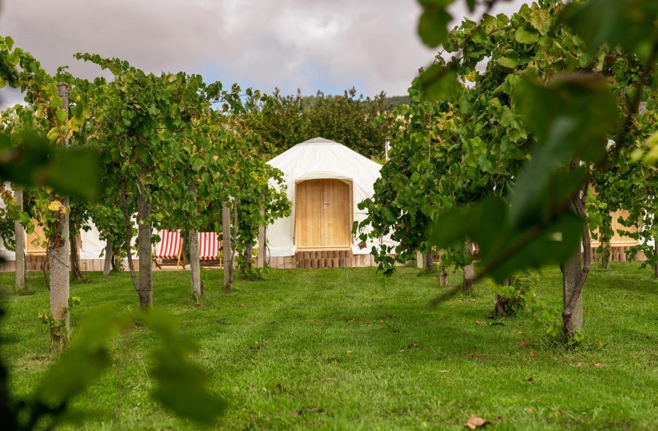 Casa Beatnik Hotel Vedra Екстериор снимка